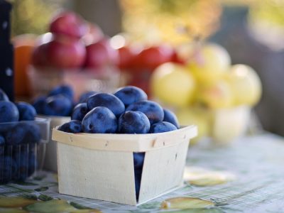 jillwellington-fruit-1004887_1920
